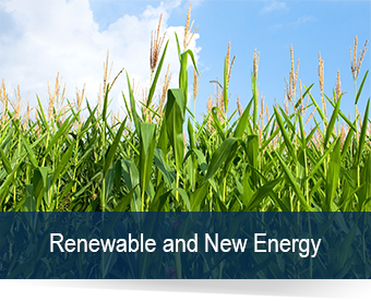 Renewable and New Energy