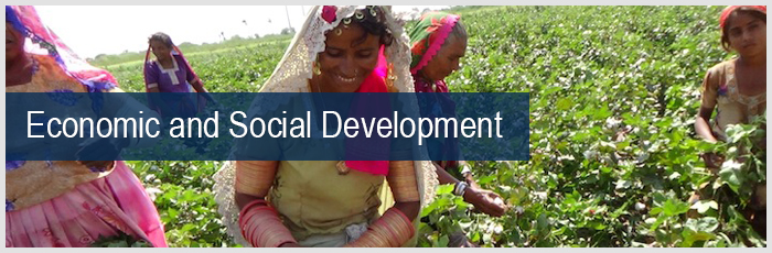 Economic and Social Development